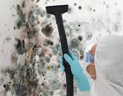 Reliable Highland, UT Mold Remediation Solutions